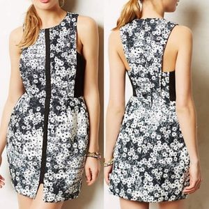 Anthropologie Shasta Daisy Jumper